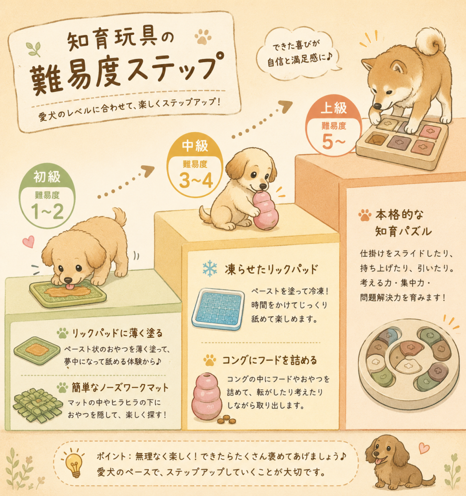 犬の知育玩具の難易度ステップ図解。初級・中級・上級の3段階